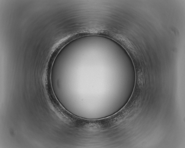X0000111360536200907100958