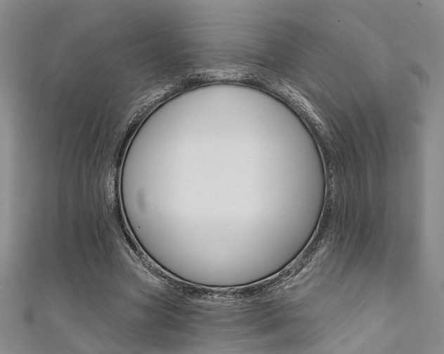 X0000111360537200907100958