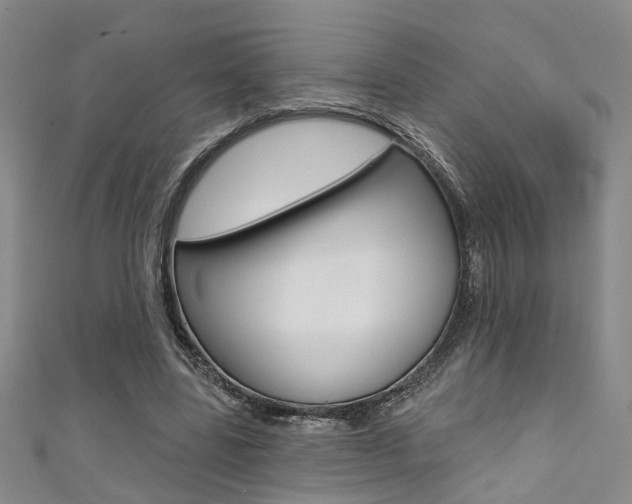 X0000111360539200907100958