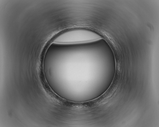 X0000111360540200907100958