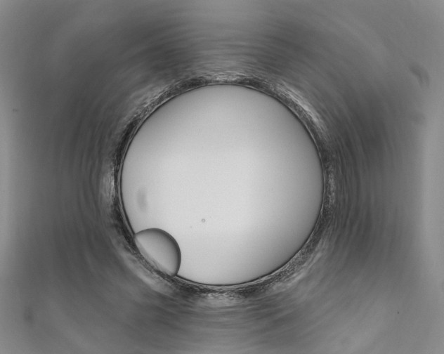X0000111360541200907100958