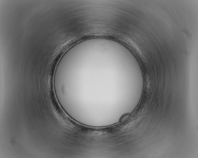 X0000111360542200907100958