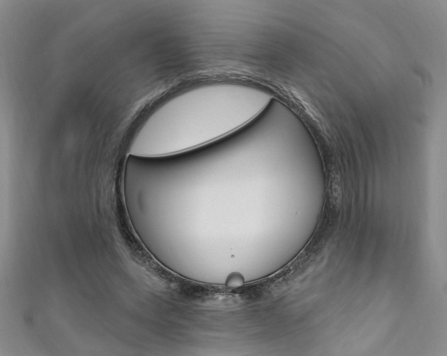 X0000111360543200907100958
