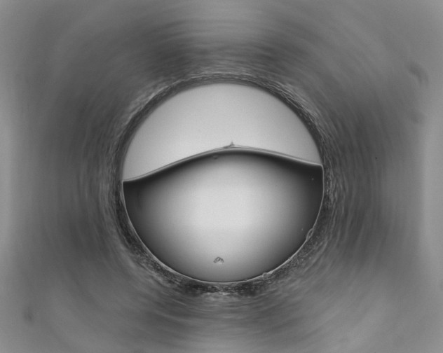 X0000111360544200907100958