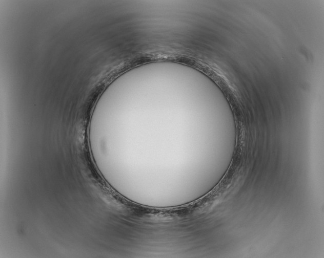 X0000111360545200907100958