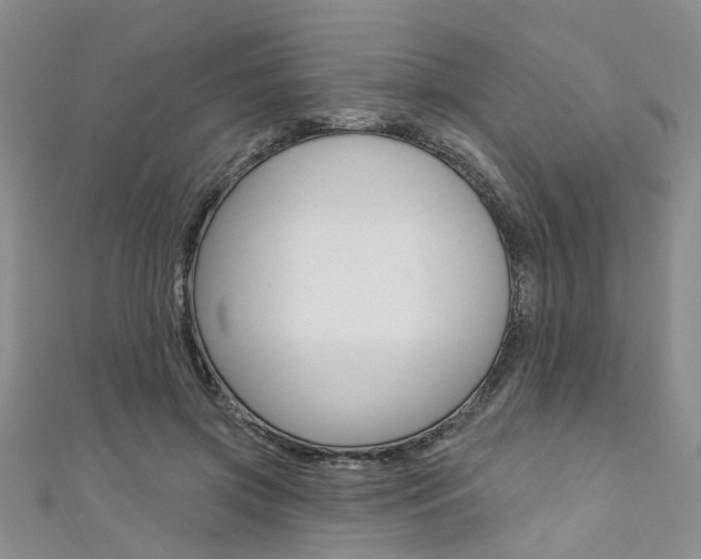 X0000111360549200907100958