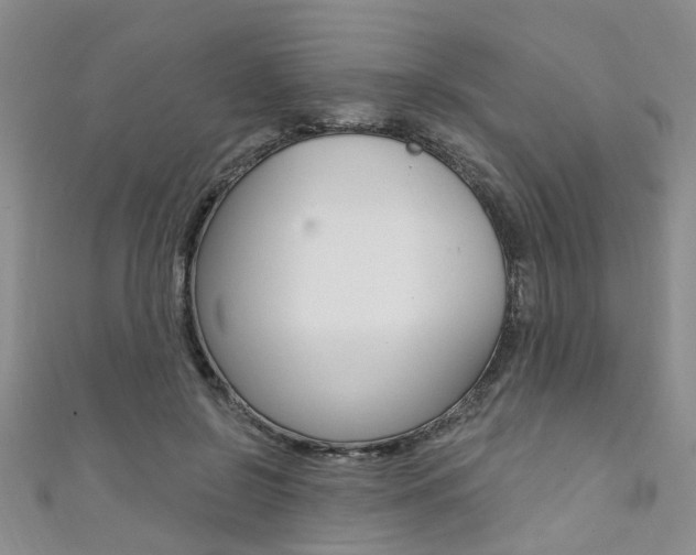 X0000111360550200907100958