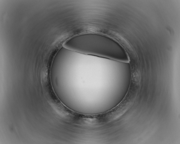 X0000111360552200907100959