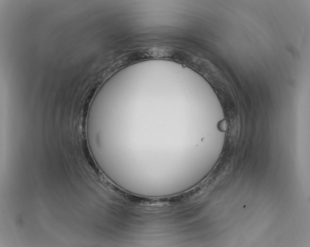 X0000111360553200907100959