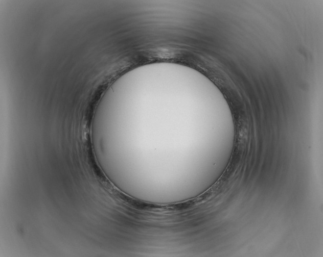 X0000111360555200907100959