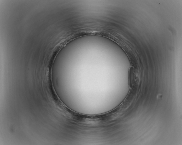 X0000111360556200907100959