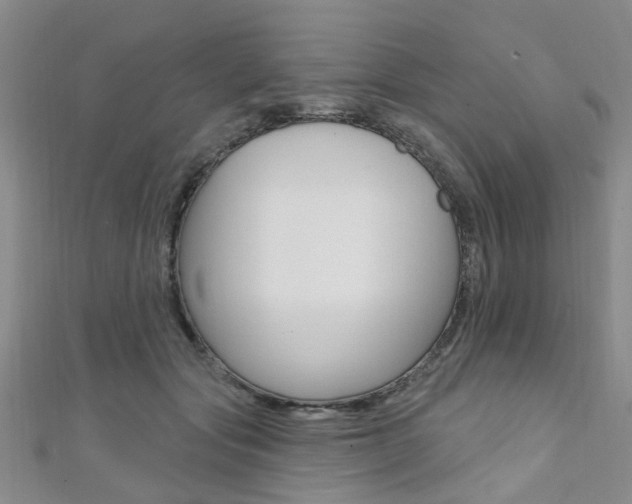 X0000111360557200907100959