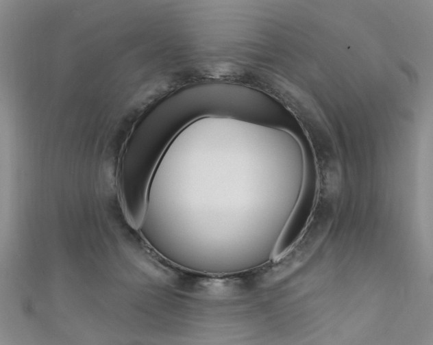 X0000111360558200907100959