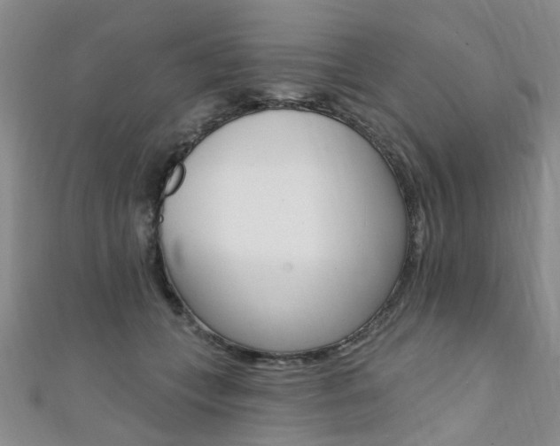 X0000111360559200907100959