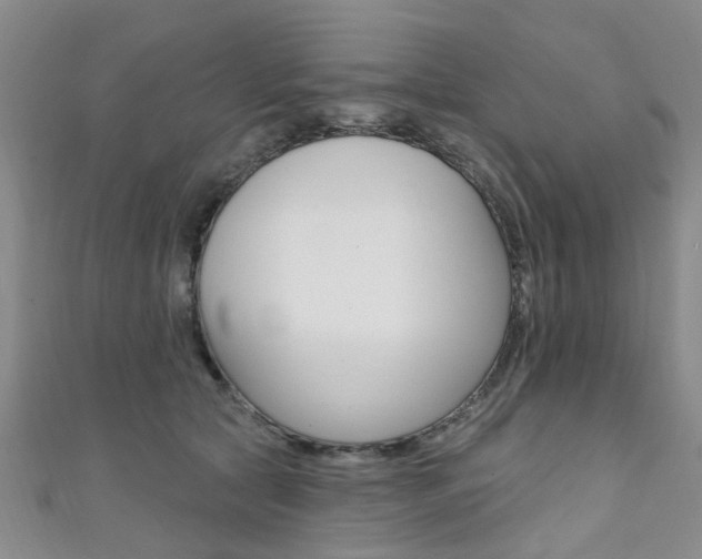 X0000111360561200907100959