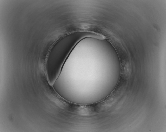 X0000111360562200907100959