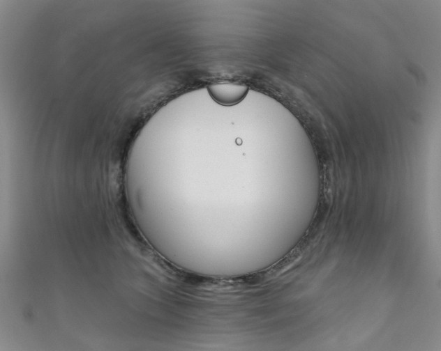 X0000111360563200907100959