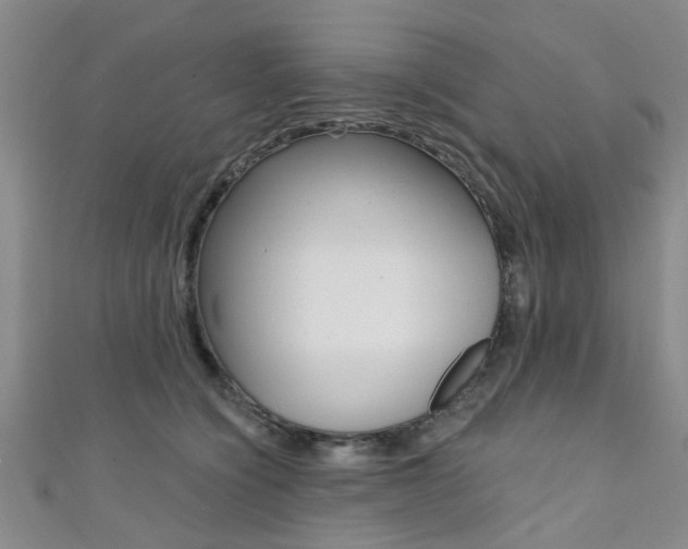X0000111360564200907100959