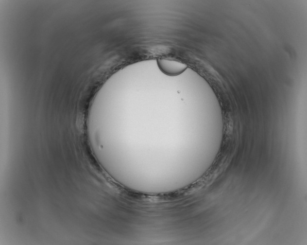X0000111360565200907100959