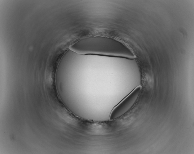 X0000111360566200907100959