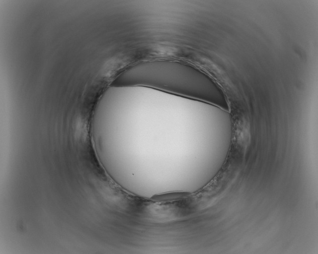X0000111360568200907100959