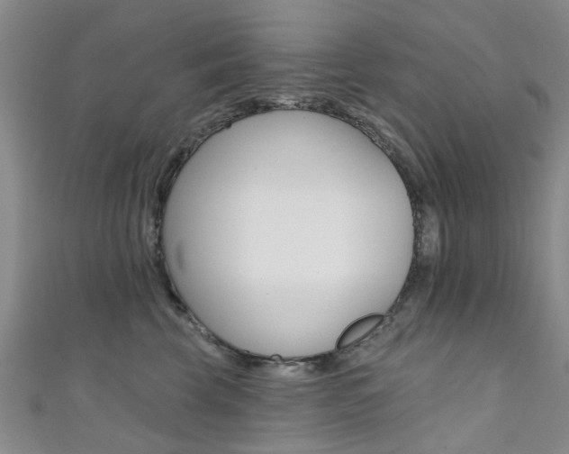 X0000111360569200907100959