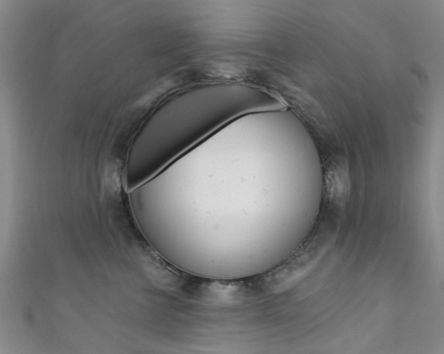 X0000111360570200907100959