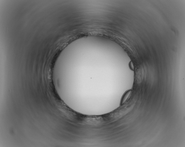 X0000111360571200907100959
