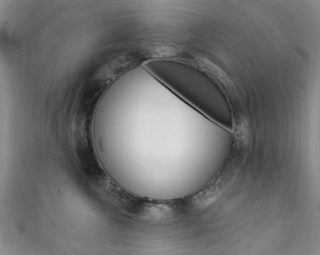 X0000111360572200907100959