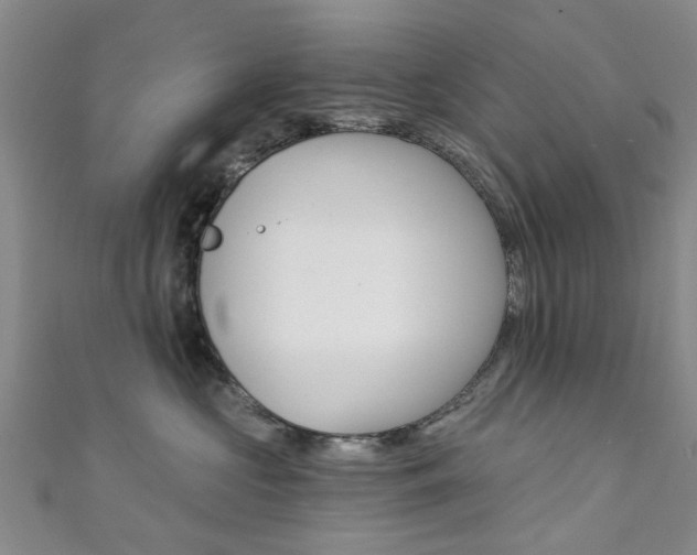 X0000111360573200907100959