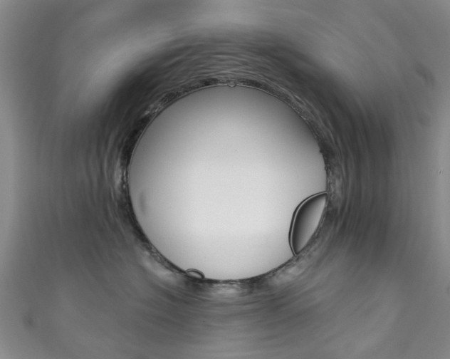 X0000111360574200907100959