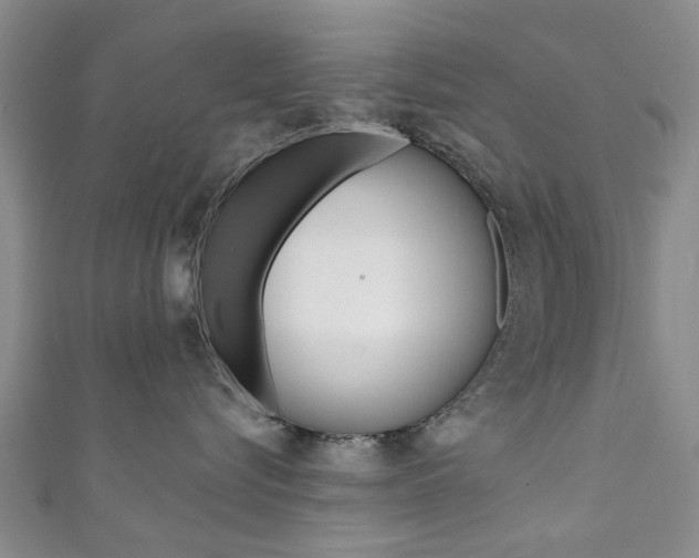 X0000111360576200907100959