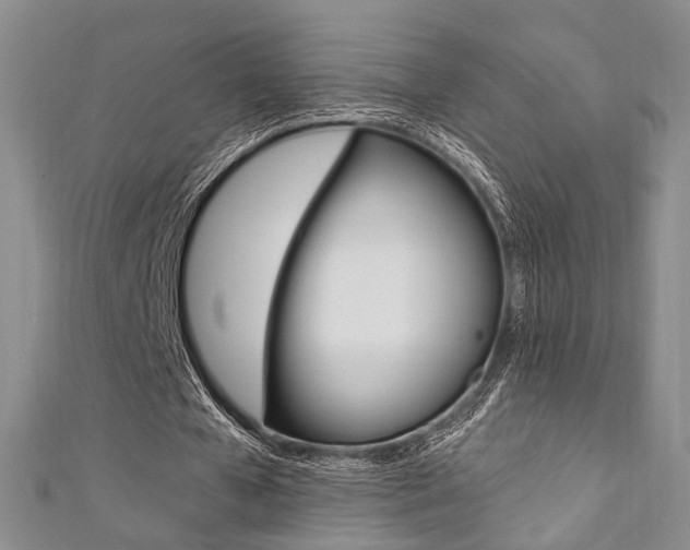 X0000111360577200907100958