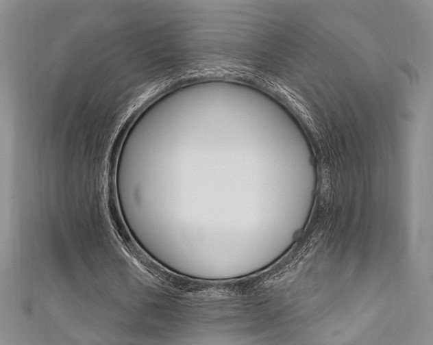 X0000111360578200907100958