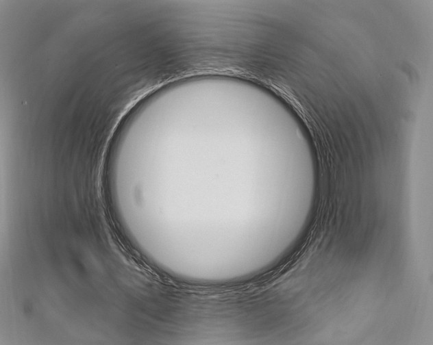 X0000111360579200907100958