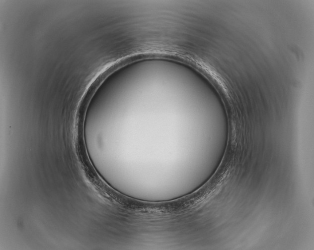 X0000111360580200907100958