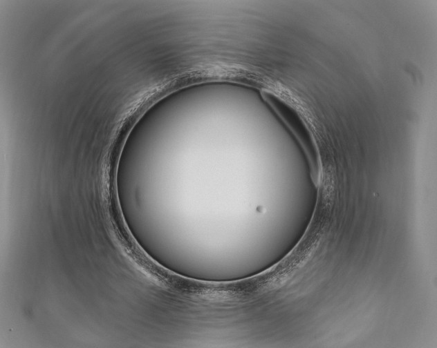 X0000111360581200907100958