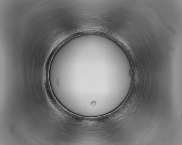 X0000111360582200907100958