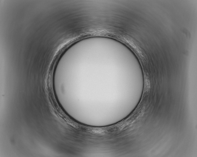 X0000111360583200907100958