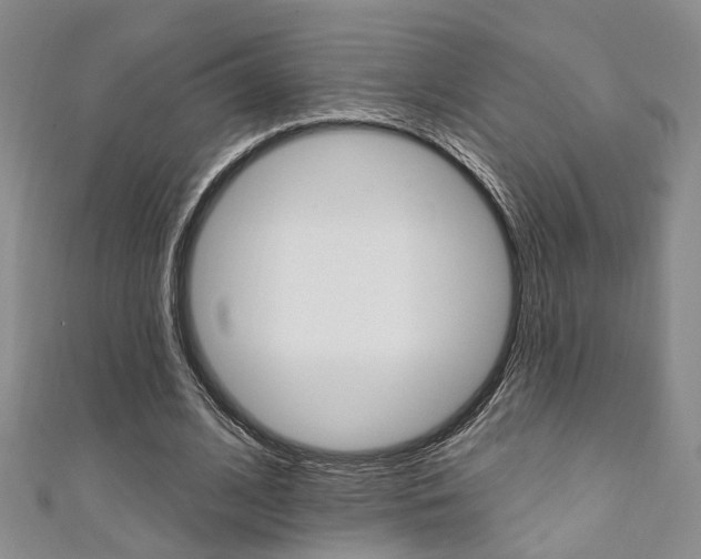 X0000111360584200907100958