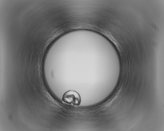 X0000111360585200907100958