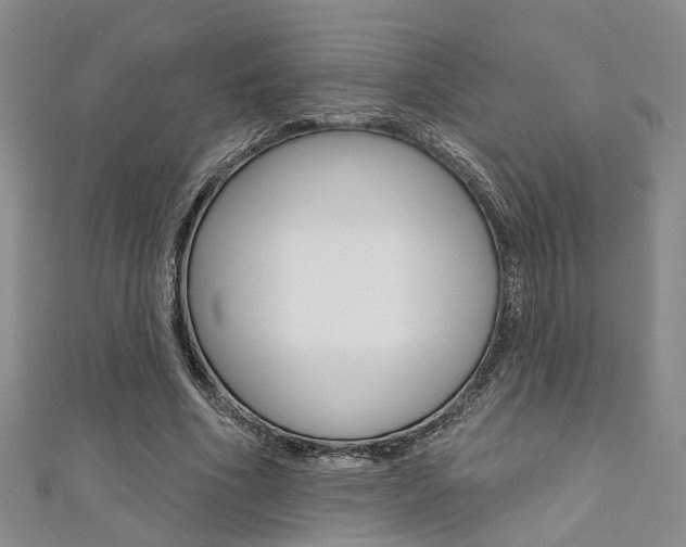 X0000111360586200907100958