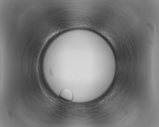 X0000111360587200907100958
