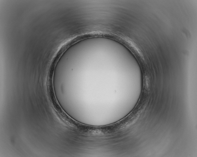 X0000111360588200907100958