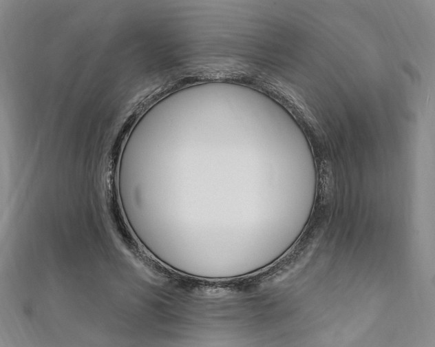 X0000111360590200907100958