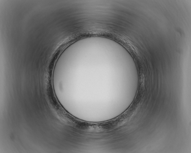 X0000111360591200907100958