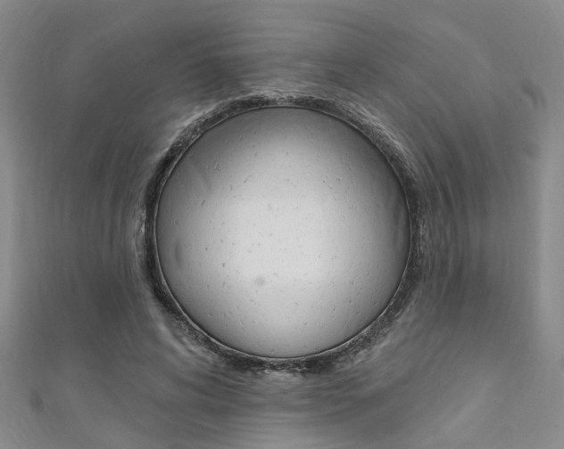 X0000111360592200907100958