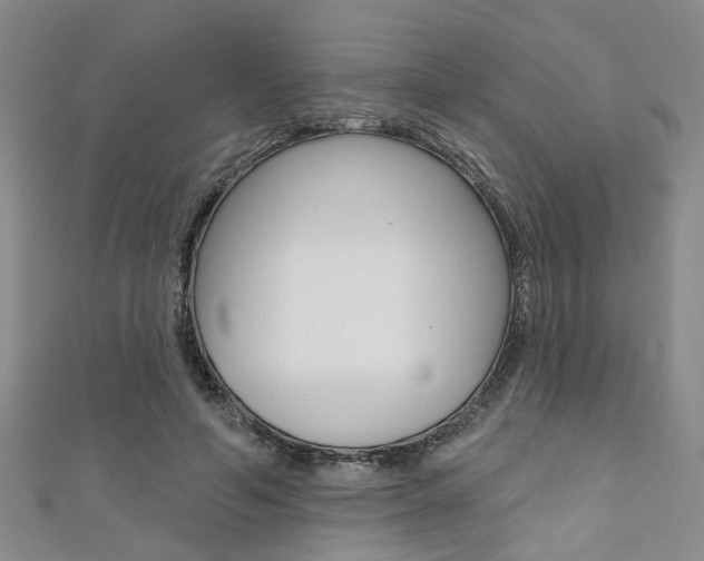 X0000111360594200907100958