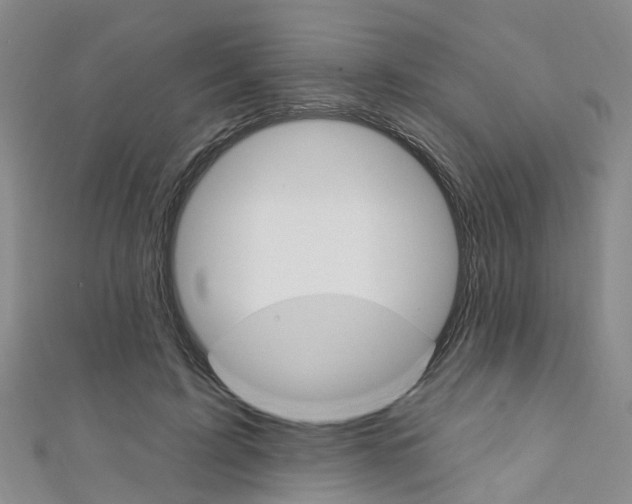 X0000111360595200907100958