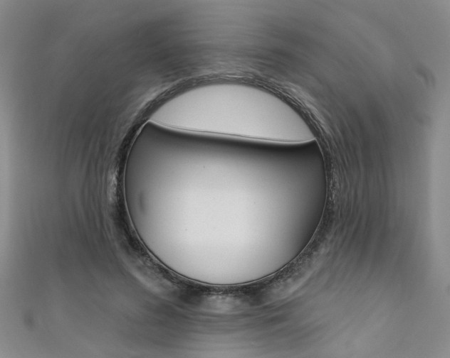 X0000111360596200907100958